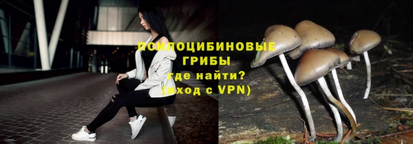 ALPHA PVP Бородино