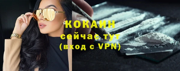 прущая мука Богородицк