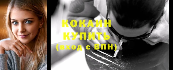 прущая мука Богородицк