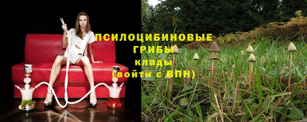 прущая мука Богородицк