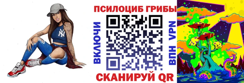 сколько стоит  Мичуринск  Псилоцибиновые грибы MAGIC MUSHROOMS 